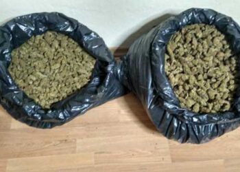 Καστοριά: Σύλληψη 2 ατόμων για διακίνηση 11,5 κιλών ακατέργαστης κάνναβης