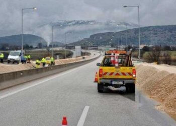 Νέα χάραξη της Εγνατίας Οδού ώστε να προστατευθούν οι αρκούδες