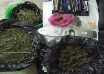 “Μπίζνα” ηλικιωμένων με πάνω από 9 κιλά κάνναβη στα Γρεβενά