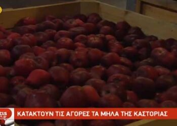 Κατακτούν τις αγορές τα μήλα της Καστοριάς – Δείτε το ρεπορτάζ της ΕΡΤ3