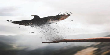 Μάθε να Νικάς ή Συνήθισε να Χάνεις – Γράφει ο Καρακασίδης Δημήτρης