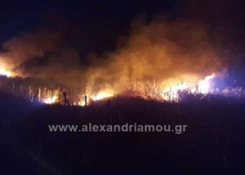 Φωτιά στην Εγνατία Οδό