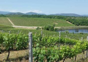 “Η Δυτική Μακεδονία είναι ένας εξαιρετικός οίνο-γαστρονομικός προορισμός” – Δημοσίευμα του newsbomb