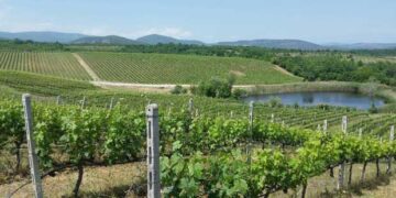 “Η Δυτική Μακεδονία είναι ένας εξαιρετικός οίνο-γαστρονομικός προορισμός” – Δημοσίευμα του newsbomb