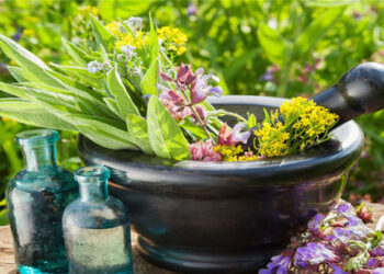 Συμμετοχή Δήμου Βοΐου στην 1η πανελλήνια κλαδική έκθεση αρωματικών & φαρμακευτικών φυτών και προϊόντων