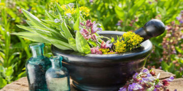 Συμμετοχή Δήμου Βοΐου στην 1η πανελλήνια κλαδική έκθεση αρωματικών & φαρμακευτικών φυτών και προϊόντων