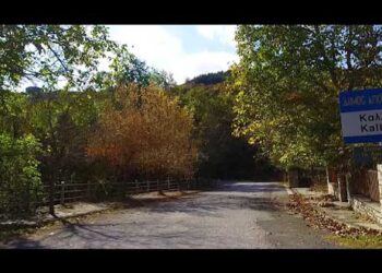 “Γουρουνοχαρά” στην Καλλονή Γρεβενών