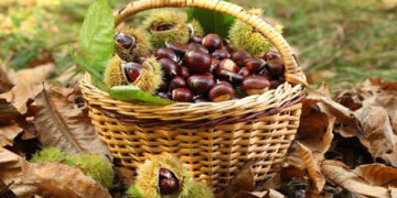 8η Γιορτή Κάστανου στην κεντρική πλατεία του Εμπορίου Εορδαίας