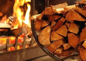 Γ. Ζεμπιλιάδου: Αναλγησία σε βάρος κατοίκων των ορεινών Γρεβενών που υποχρεώνονται να πληρώσουν τα καυσόξυλα που δικαιούνται δωρεάν! – Συνεργός της αδικίας η Περιφερειακή Αρχή με τη σιωπή της