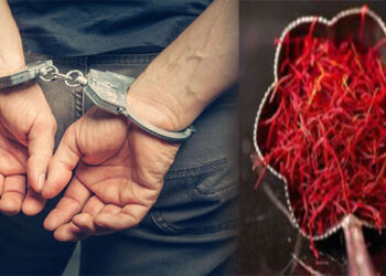 2 άτομα έκλεψαν έξι κιλά κρόκο αξίας 2.740 ευρώ στην Κοζάνη