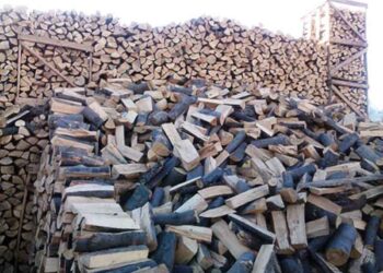 Δικαίωμα στην καυσοξύλευση για τους κατοίκους του Άργους Ορεστικού