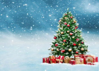 Εμπορικός Σύλλογος Γρεβενών: Συμμετοχή στο τηλεοπτικό σποτ των Χριστουγέννων 2018-2019