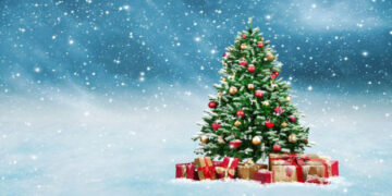 Εμπορικός Σύλλογος Γρεβενών: Συμμετοχή στο τηλεοπτικό σποτ των Χριστουγέννων 2018-2019