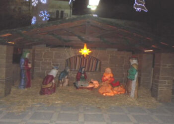 Την Παρασκευή 7 Δεκεμβρίου το άναμμα του Δέντρου στην Πτολεμαΐδα και “Λευκή Νύχτα” από τον Εμπορικό Σύλλογο – Δείτε αναλυτικά το πρόγραμμα εορταστικών εκδηλώσεων στο Δήμο Εορδαίας