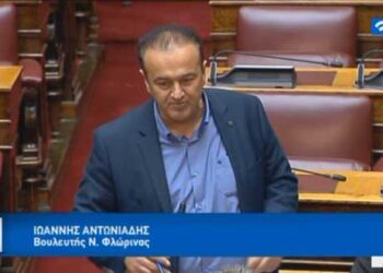 Έγκαιρη καταβολή και αύξηση του κονδυλίου για την ξύλευση ζήτησε ο βουλευτής Φλώρινας Γιάννης Αντωνιάδης – Τι απάντησε ο Υπουργός (video)