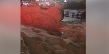 VIDEO από τη Βίγλα: Επιχείρηση αποχιονισμού στο Χιονοδρομικό Κέντρο Πισοδερίου