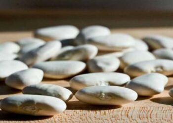 Άργος Ορεστικό: Εγκρίθηκε το Πρόγραμμα Κρατικών Ενισχύσεων 2017 που αφορά παραγωγούς φασολιών