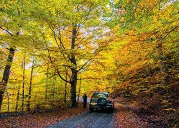 Γρεβενά: Τι κρύβει το δάσος; Μανιταροβόλτες στα φθινοπωρινά τοπία της Βάλια Κάλντα (αφιέρωμα της ΚΑΘΗΜΕΡΙΝΗΣ)