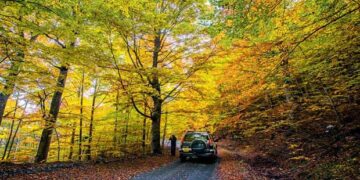 Γρεβενά: Τι κρύβει το δάσος; Μανιταροβόλτες στα φθινοπωρινά τοπία της Βάλια Κάλντα (αφιέρωμα της ΚΑΘΗΜΕΡΙΝΗΣ)