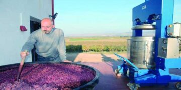 Λαυρέντης Χάρτµαν Καρανίκας: Άφησε την Ολλανδία για να επενδύσει στα ελληνικά αµπέλια στο Αμύνταιο!