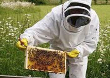 Υποβολή αιτήσεων για Κυψέλες Διαχείμασης μελισσιών