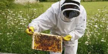 Υποβολή αιτήσεων για Κυψέλες Διαχείμασης μελισσιών