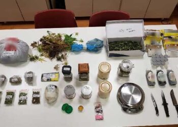 Κοζάνη: Εντοπίστηκε 52χρονος  με ακατέργαστη ποσότητα 680 γρ. ρίζες  και κορμούς  φυτών κάνναβης