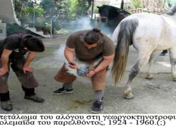 Η Γεωργοκτηνοτροφική Εορδαία του παρελθόντος και οι συνεργάτες της 1943-1950!! – Από τη στήλη του κ. Γ. Καζαντζή στον Παλμό 14/11/2018