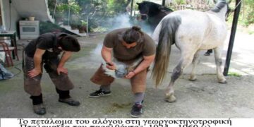 Η Γεωργοκτηνοτροφική Εορδαία του παρελθόντος και οι συνεργάτες της  1943-1950!! – Από τη στήλη του κ. Γ. Καζαντζή στον Παλμό 14/11/2018