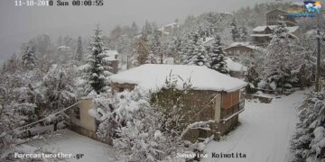 Χιονοπτώσεις αυτή την ώρα σε Πισοδέρι, Φλώρινα, Νυμφαίο και Σαμαρίνα (ζωντανή εικόνα)