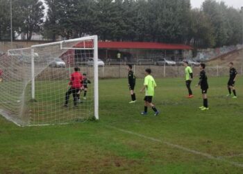 Ηλικιακά πρωταθλήματα Ε.Π.Σ. Κοζάνης