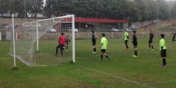 Ηλικιακά πρωταθλήματα Ε.Π.Σ. Κοζάνης