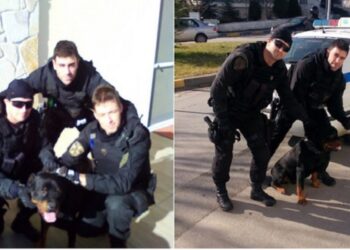 Η ανάρτηση της Ελληνικής Αστυνομίας στο twitter για τους Αστυνομικούς της ομάδας ΔΙΑΣ Κοζάνης που βρήκαν σκύλο που είχε χαθεί