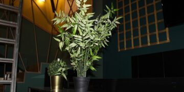 Ανοίγει στη Θεσσαλονίκη το πρώτο μπαρ με καφέ, τσάι και cocktail από κάνναβη!