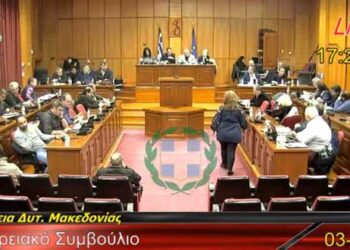 Γ. Ζεμπιλιάδου: «Με αυτόν τον προϋπολογισμό όχι μόνο να σταθεί όρθια δεν μπορεί η Περιφέρεια, αλλά ούτε να μπουσουλίσει»