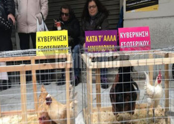 Διαμαρτυρία της ΠΟΕΔΗΝ με… κότες και κοκόρια έξω από το υπ. Υγείας!