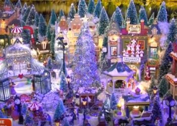 Με 40 χιλιάδες λαμπάκια στόλισε το σπίτι του ένας κάτοικος της Πτολεμαΐδας! Εντυπωσιακή συλλογή – μαγικό σκηνικό! (video της ΕΡΤ)