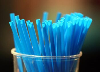 Τέλος στα πλαστικά μιας χρήσης βάζει η ΕΕ! – Ιστορική νίκη για τον πλανήτη