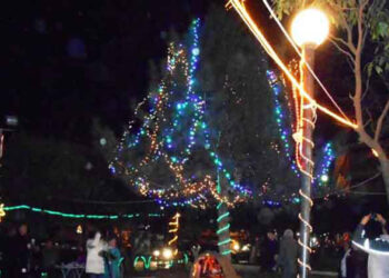 Άναμμα του Χριστουγεννιάτικου δέντρου της Θρακικής Εστίας Εορδαίας και γιορτή τσιγαριδας