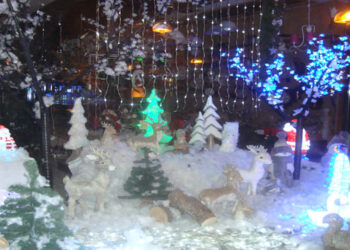 Εορδαία: Φωταγώγηση Χριστουγεννιάτικου Δέντρου και Λευκή Νύχτα στις 7 Δεκεμβρίου