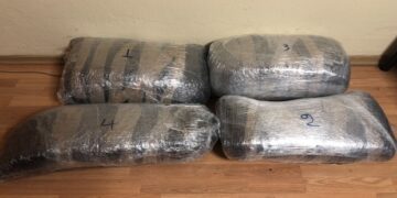 Καστοριά: Συνελήφθη σε δασική περιοχή 25χρονος αλλοδαπός για διακίνηση 26 κιλών ακατέργαστης κάνναβης