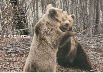 Ποντιακά – προσφυγικά ευτράπελα της εποχής ,γιατί όχι και… ατάκες του παρελθόντος – Από τη στήλη του κ. Γ. Καζαντζή στον Παλμό 19/12/2018