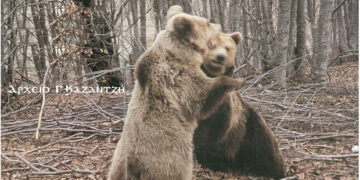 Ποντιακά – προσφυγικά ευτράπελα της εποχής ,γιατί όχι και… ατάκες του παρελθόντος – Από τη στήλη του κ. Γ. Καζαντζή στον Παλμό 19/12/2018