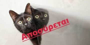 Αποσύρεται από τη δημόσια διαβούλευση για επανεξέταση το ν/σ για τα δεσποζόμενα και τα αδέσποτα ζώα συντροφιάς