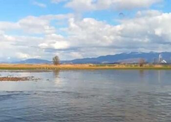 Πλημμύρισε ο νέος δρόμος Αναργύρων – Λιμνοχωρίου – Δείτε βίντεο του οδηγού Χρ. Σεφθελή