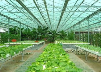 Σεμινάριο με θέμα τις «Θερμοκηπιακές καλλιέργειες» στη Φλώρινα