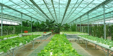 Σεμινάριο με θέμα τις «Θερμοκηπιακές καλλιέργειες» στη Φλώρινα