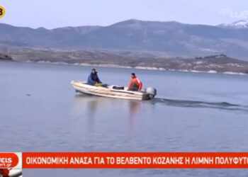 Οικονομική ανάσα για το Βελβεντό η λίμνη Πολυφύτου – Δείτε το ρεπορτάζ της ΕΡΤ3
