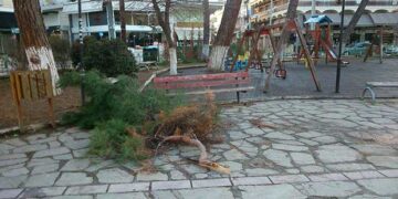 Προσοχή κίνδυνος στο παλιό Πάρκο Πτολεμαΐδας – Από τα παραπολιτικά του Παλμού 14/03/2018