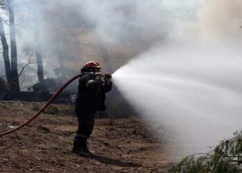 Έρχεται πρόγραμμα κοινωφελούς εργασίας με 5.066 θέσεις για προστασία των δασών – Δείτε τις θέσεις στη Δυτ. Μακεδονία
